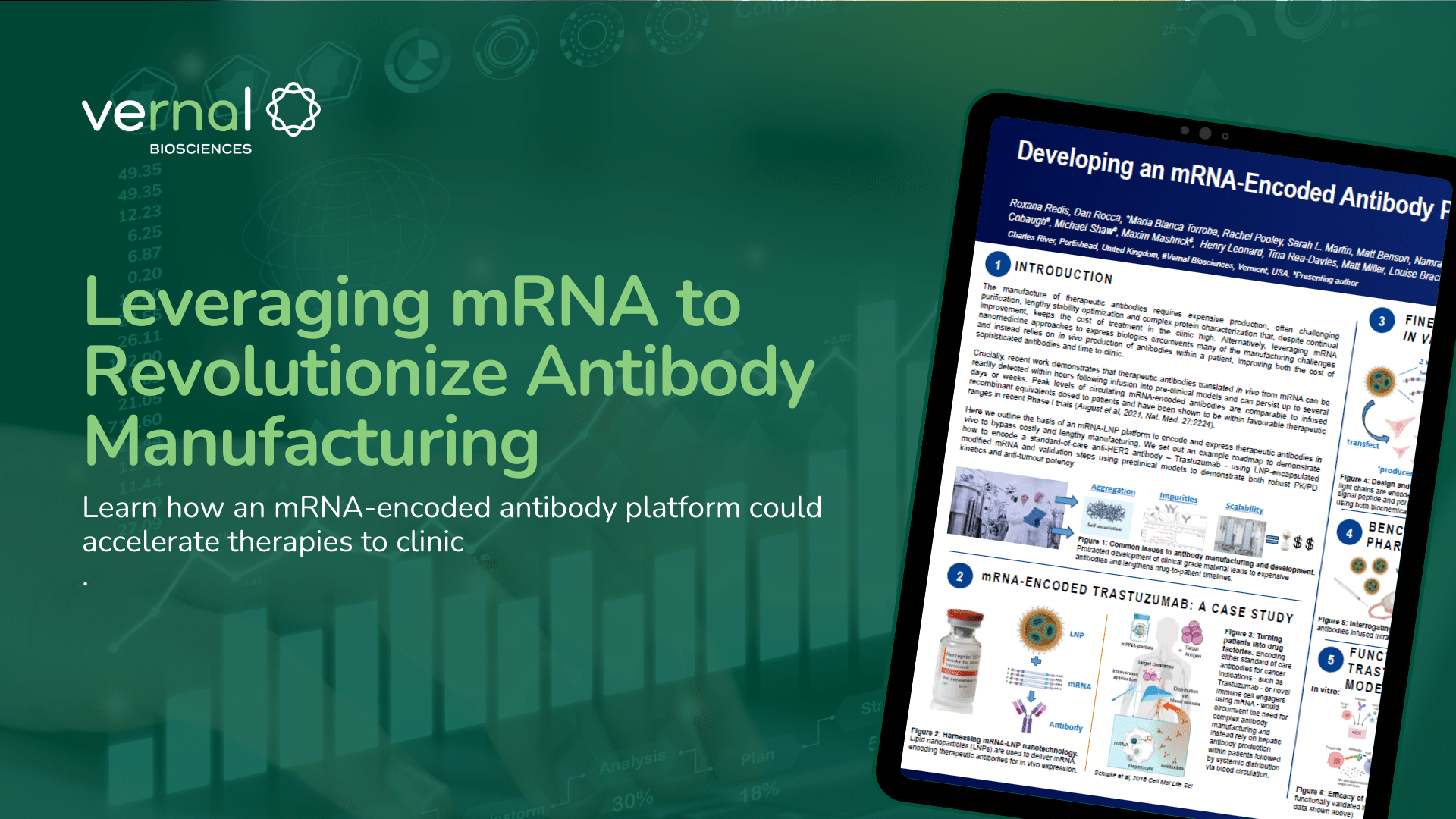 Leveraging mRNA to Revolutionize Antibody Manufacturing | Vernal Biosciences